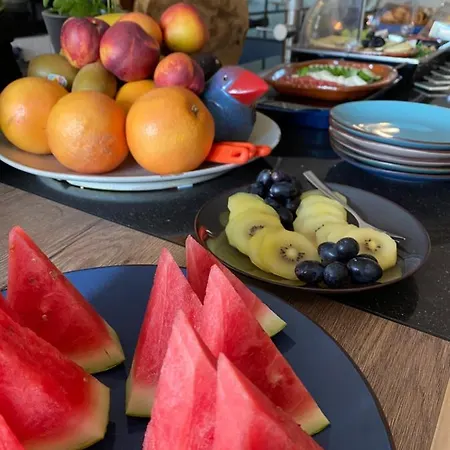 Vida * 팔켄뷔르흐안더횔