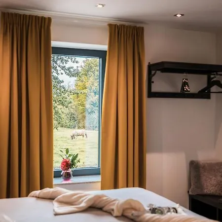 Vida 팔켄뷔르흐안더횔