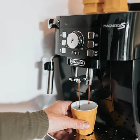 B&B Vida 팔켄뷔르흐안더횔