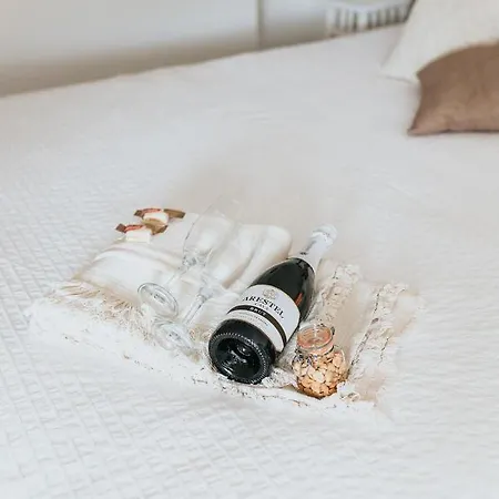 Vida * 팔켄뷔르흐안더횔