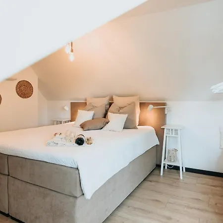 Vida * 팔켄뷔르흐안더횔