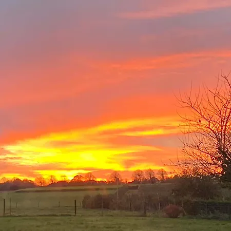 B&B Vida 팔켄뷔르흐안더횔