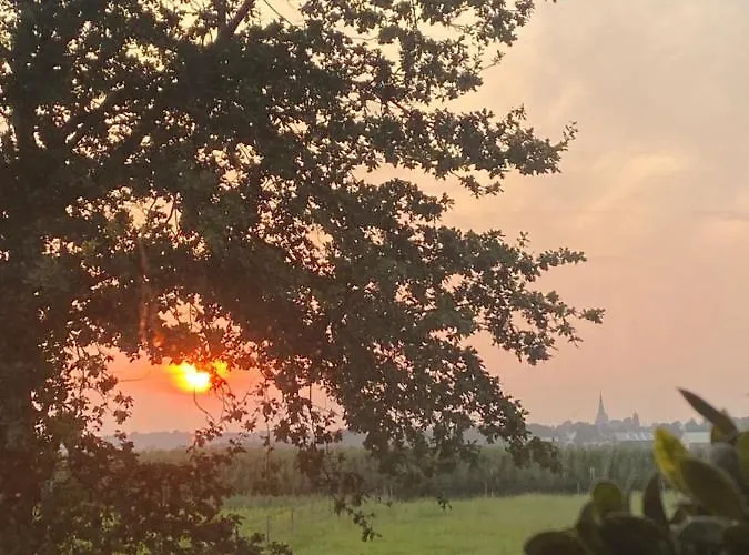 Nocleg ze śniadaniem Vida *