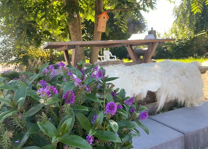 Vida Nocleg ze śniadaniem *