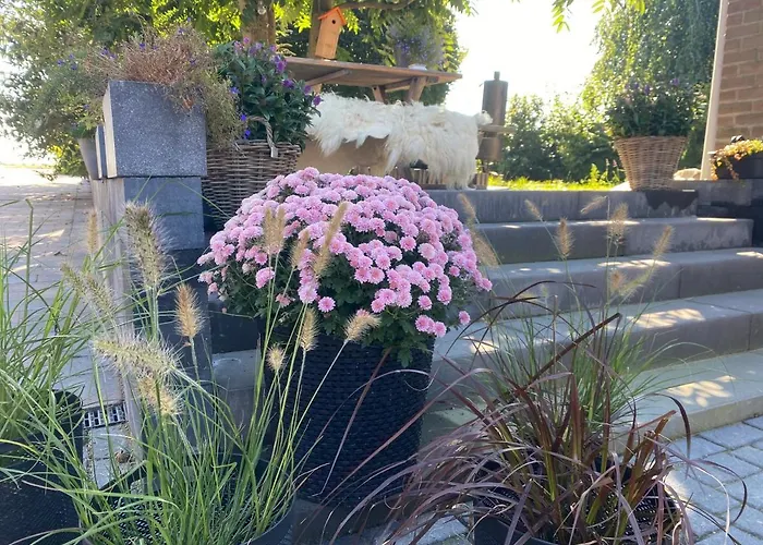 Vida Valkenburg aan de Geul