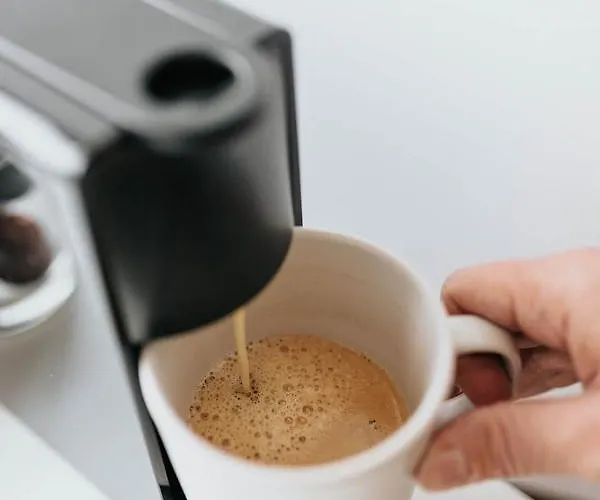 Vida * Valkenburg aan de Geul