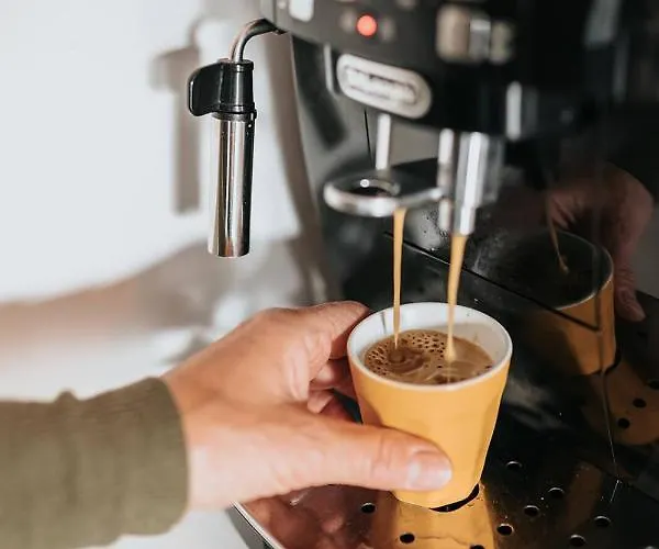 Vida Nocleg ze śniadaniem