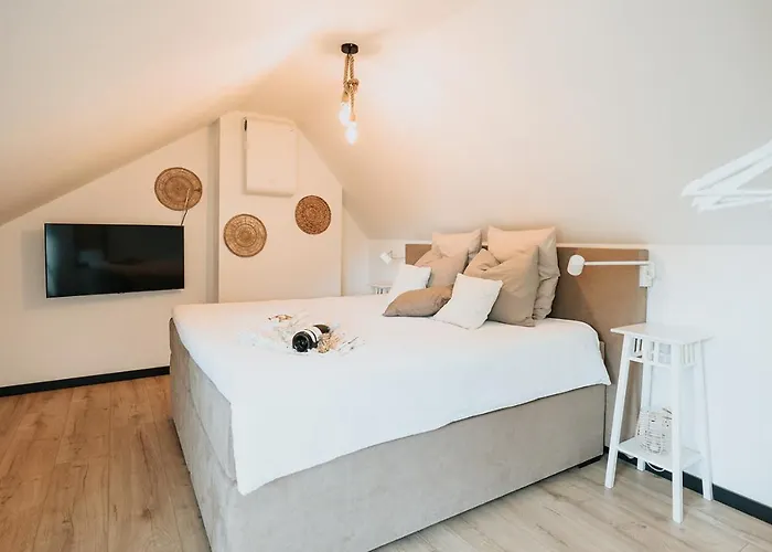 Vida * Valkenburg aan de Geul