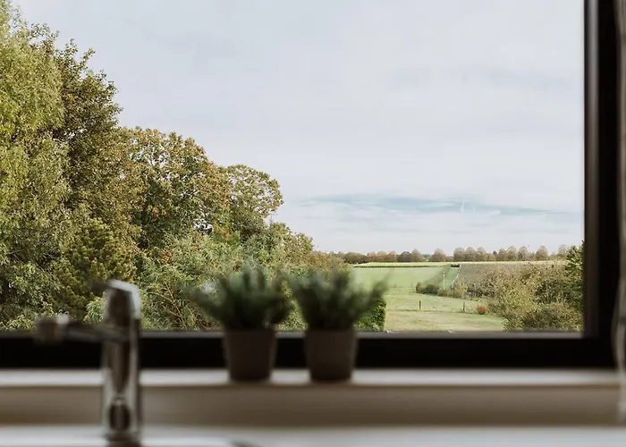 Vida Nocleg ze śniadaniem