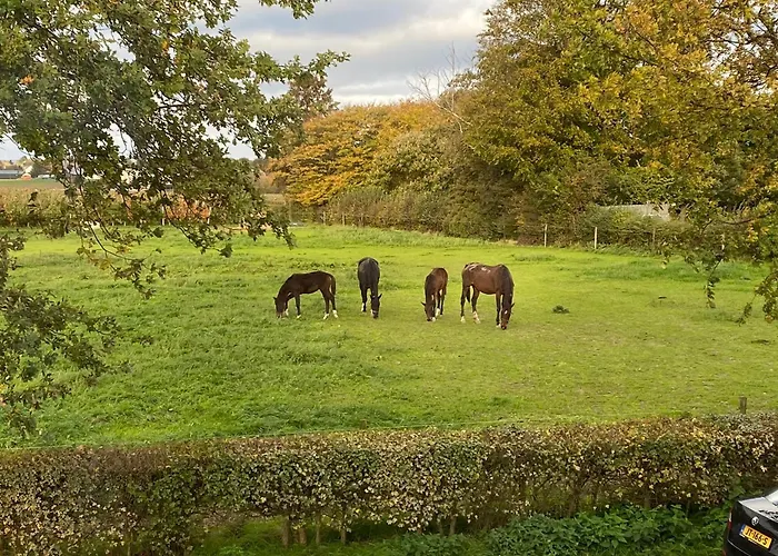 Nocleg ze śniadaniem Vida