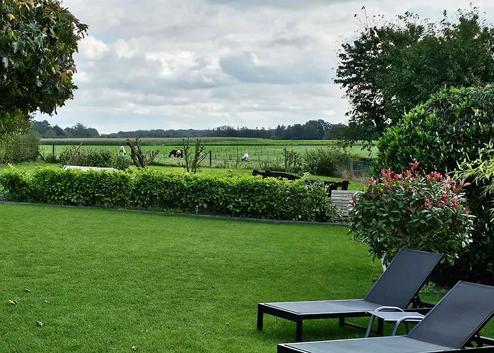 Vida Nocleg ze śniadaniem *