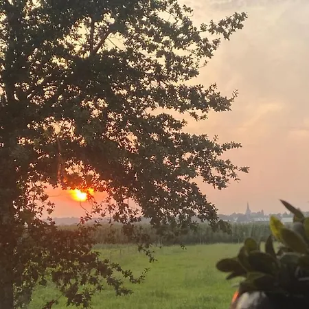 Alojamento de Acomodação e Pequeno-almoço Vida *