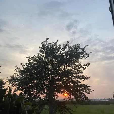 ベッド・アンド・ブレックファスト Vida