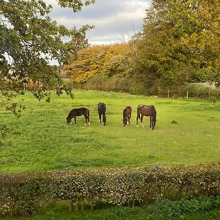 ベッド・アンド・ブレックファスト Vida