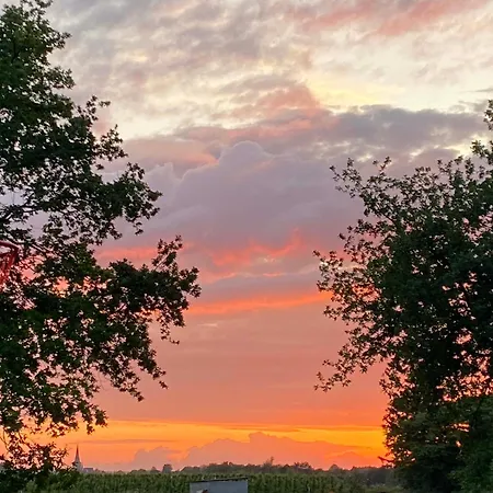 Vida * Valkenburg aan de Geul
