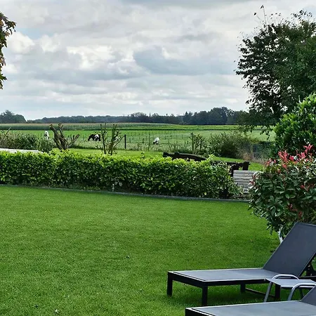 Vida ベッド・アンド・ブレックファスト *