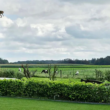 ベッド・アンド・ブレックファスト Vida ファルケンブルフ