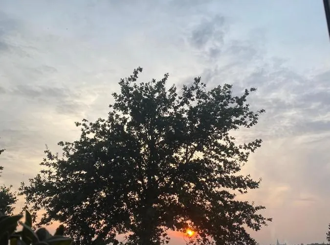 Bed and breakfast Vida