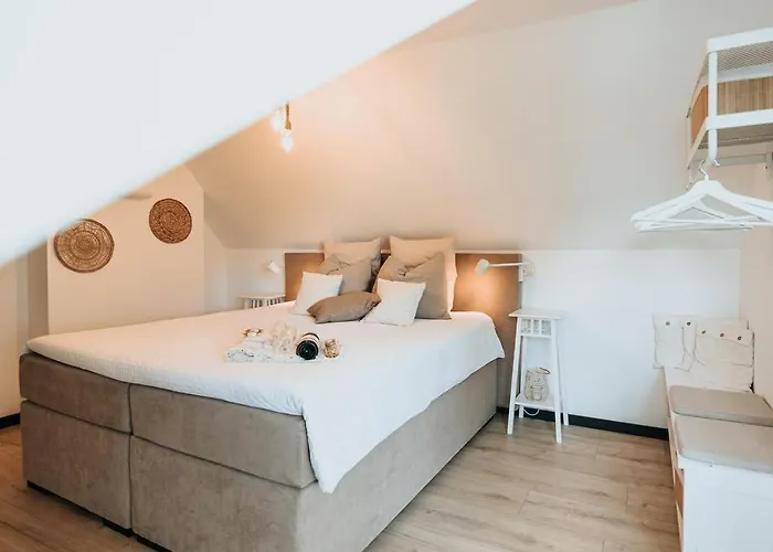 Vida * Valkenburg aan de Geul