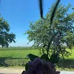 Vida Valkenburg aan de Geul