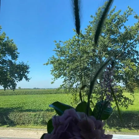 Vida Valkenburg aan de Geul